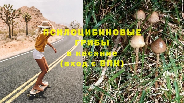 mix Абаза
